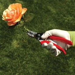 Felco 100 Special Application - Cut & Hold Pruning Shears -Gardening Supplies 100fel 4