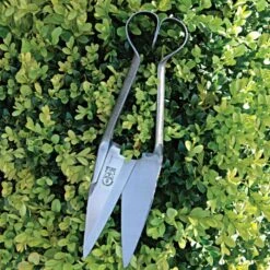 Carbon Steel RHS-Endorsed Topiary Shear, Small -Gardening Supplies 106smge 2