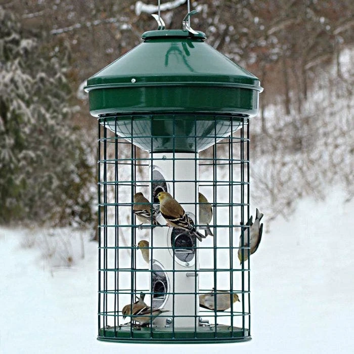 Caged Mixed Seed Feeder - 15lbs 4 Caged Mixed Seed Feeder - 15lbs - Image 2
