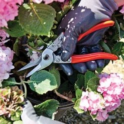 Leonard Straight Blade Pruning Shears, 8.625-inch Length -Gardening Supplies 1204 4