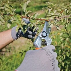 Leonard Pro Comfort Pruning Shears, 0.75-inch Cutting Capacity -Gardening Supplies 1212 4