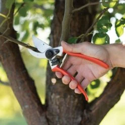 Traditional Bypass Pruners By A.M. Leonard, 1in Cutting Capacity, Lifetime Warranty -Gardening Supplies 1286 7