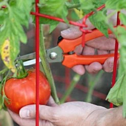 Leonard Pointed Tip Stainless Steel Hand Shears 7.5 Inch Length -Gardening Supplies 1503 3 1