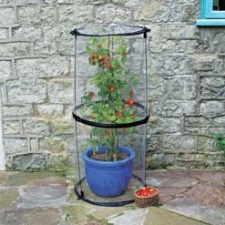 Twist Up Tomato Cloche