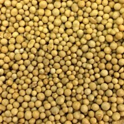 Osmocote 18-6-12 Slow Release Fertilizer, 8-9 Month 7 Osmocote 18-6-12 Slow Release Fertilizer, 8-9 Month -Gardening Supplies 18612 2