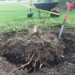 Radius Root Slayer -Gardening Supplies 22011 5