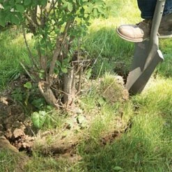 Radius Root Slayer XL -Gardening Supplies 22511 1