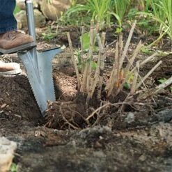 Radius Root Slayer XL -Gardening Supplies 22511 3 1