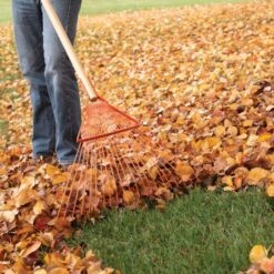 Leonard 22 Tine Forestry Rake -Gardening Supplies 228f 4