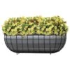 Trug Harvest Basket / Planter With Bistro Print Liner - Matte Black -Gardening Supplies 24283269r