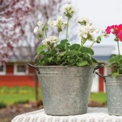 Galvanized Washtub Planter - 14 In. Dia. -Gardening Supplies 25483232d 1