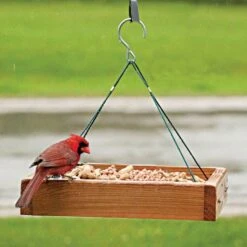 3-In-1 Platform Wood Feeder -Gardening Supplies 27124009f live hanging