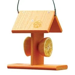Going Green® Oriole Feeder With Fruit Spikes