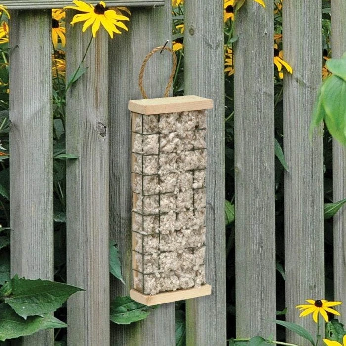 Bird Nester 4 Bird Nester - Image 2