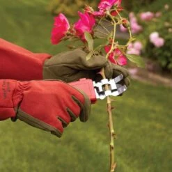 Thorn Stripper And Leaf Removal Tool -Gardening Supplies 280dt 7