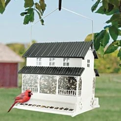 Rustic Farmhouse Absolute® White Farmhouse Squirrel-Resistant Feeder - 13 Lbs -Gardening Supplies 287221ge live 1 1