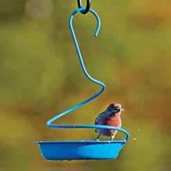 Blue Metal Mealworm Feeder -Gardening Supplies 29024852y live