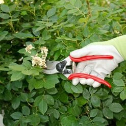 Felco 2 Classic Model - One-Hand Pruning Shear -Gardening Supplies 2fel 7