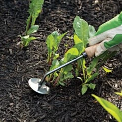 Dewit Weeder - Disc 10" Handle -Gardening Supplies 3109071tdge 3 1