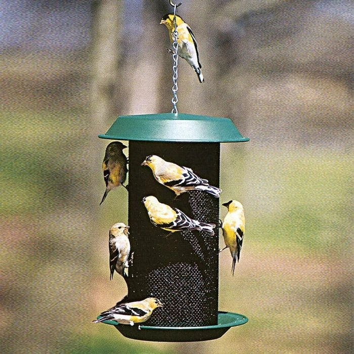 Plastic Magnum Nyjer Screen Feeder - 5 Lbs 4 Plastic Magnum Nyjer Screen Feeder - 5 Lbs - Image 2