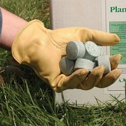 Leonard 3g Fertilizer Tablets For Containers, 3-4 Month Controlled Release (14-4-6) -Gardening Supplies 3gct 2 1