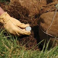 Leonard 3g Fertilizer Tablets For Containers, 3-4 Month Controlled Release (14-4-6) -Gardening Supplies 3gct 3 1