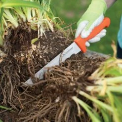 Leonard Wavy Edge Stainless Steel Cut-All Knife 8in Blade -Gardening Supplies 4041t 6