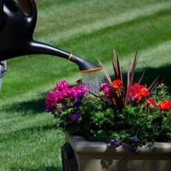 Bloem Easy Pour Watering Can 2.6 Gallon -Gardening Supplies 47287 4