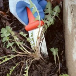 Classic Stainless Steel Soil Knife By A.M. Leonard, 6in Dual Edged Blade, Lifetime Warranty -Gardening Supplies 4750 9