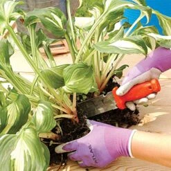 Deluxe Soil Knife And Sheath Kit By A.M. Leonard, 6in Blade, Lifetime Warranty 19 Deluxe Soil Knife And Sheath Kit By A.M. Leonard, 6in Blade, Lifetime Warranty -Gardening Supplies 4752 4 1