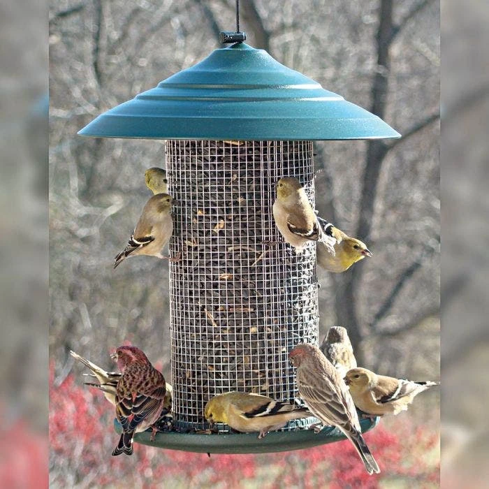 Green Steel Magnum Nyjer Feeder - 5 Lbs 4 Green Steel Magnum Nyjer Feeder - 5 Lbs - Image 2