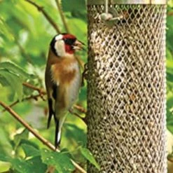 All Weather Nyger Feeder -Gardening Supplies 60053027am live