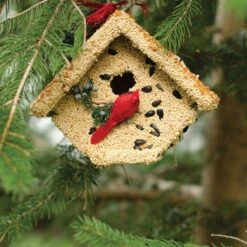 Wooden Decorated Wren House With Cardinal 13 Wooden Decorated Wren House With Cardinal -Gardening Supplies 734wh 5