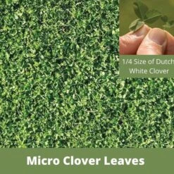 Micro Clover-1kft. -Gardening Supplies 743flge comparison 1