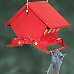 Audubon Mini Absolute Squirrel Proof Feeder -Gardening Supplies 7458 3