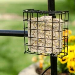 Bird Motif Arbor With Bird Feeding Station -Gardening Supplies 83145 9