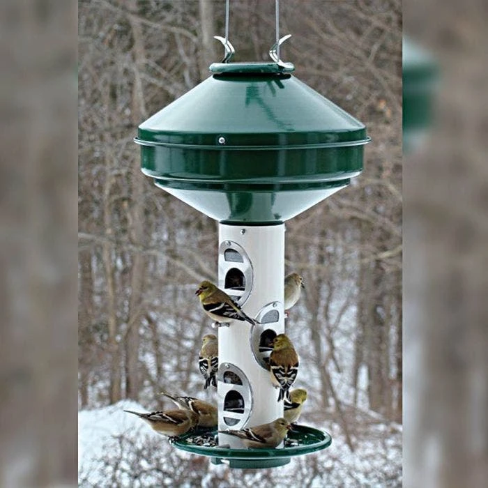 Mixed Seed Feeder - 15lbs 4 Mixed Seed Feeder - 15lbs - Image 2