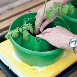 Green Plant Halos 3pk -Gardening Supplies 84tdge live planting