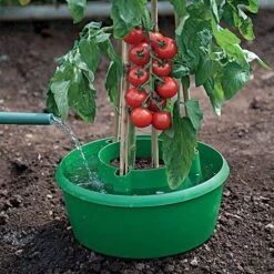 Green Plant Halos 3pk -Gardening Supplies 84tdge live vert