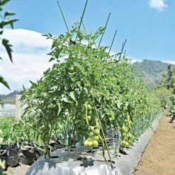 Knotty Takiron Green Steel Stakes, 3/8 X 4 Bundle Of 10 -Gardening Supplies 84tsk 5