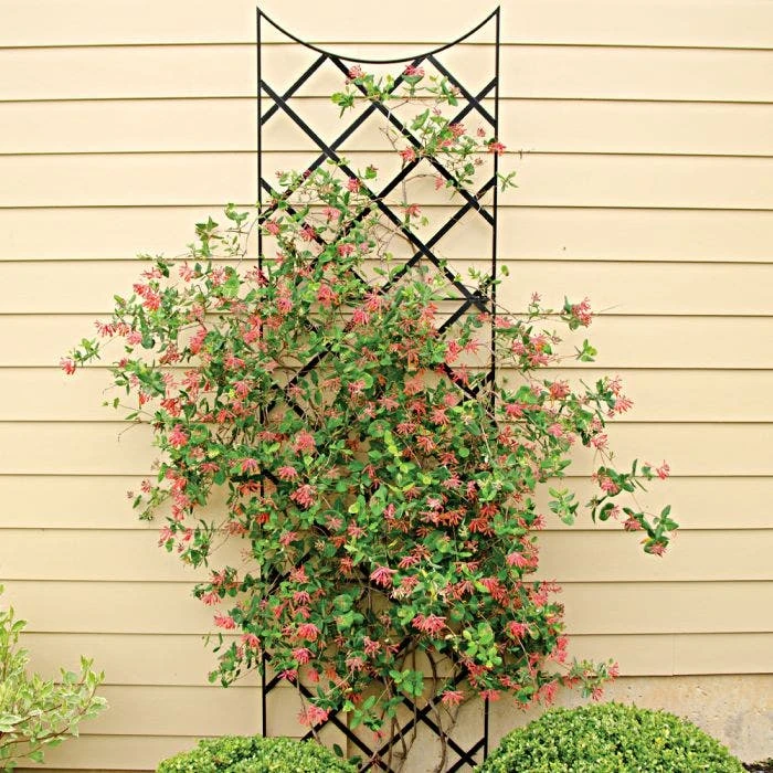 Extra Tall Black Wrought Iron Trellis 4 Extra Tall Black Wrought Iron Trellis - Image 2