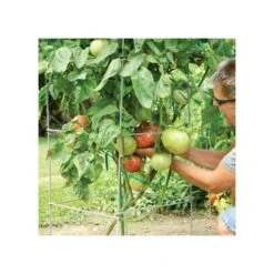 Super-Sturdy Professional Folding Tomato Cage, 60in X 18in -Gardening Supplies 89713 2