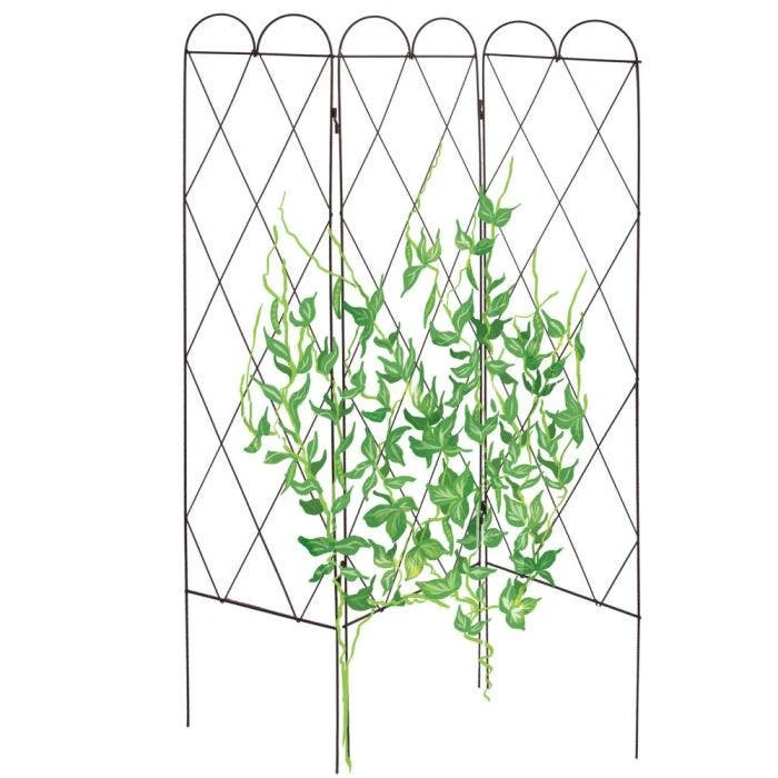 Rustic Heirloom 3-Panel Pea Trellis 5 Rustic Heirloom 3-Panel Pea Trellis - Image 3