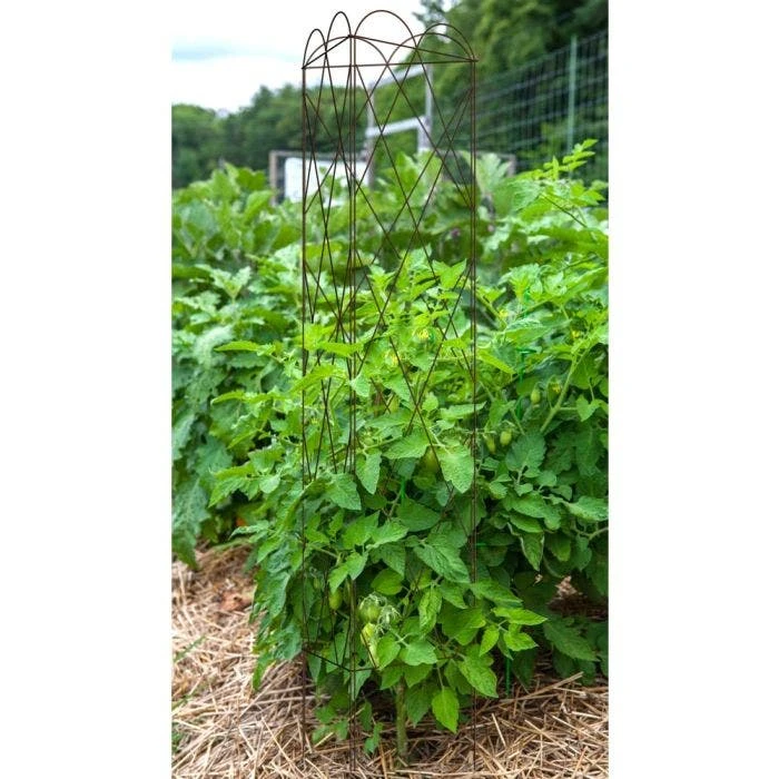 Rustic Heirloom 3-Panel Pea Trellis 6 Rustic Heirloom 3-Panel Pea Trellis - Image 4