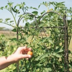 Rustic Heirloom 3-Panel Pea Trellis 15 Rustic Heirloom 3-Panel Pea Trellis -Gardening Supplies 90130 5
