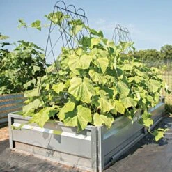 Rustic Heirloom A Frame 11 Rustic Heirloom A Frame -Gardening Supplies 90140 3