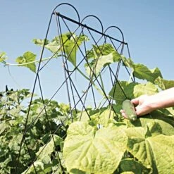 Rustic Heirloom A Frame 12 Rustic Heirloom A Frame -Gardening Supplies 90140 4