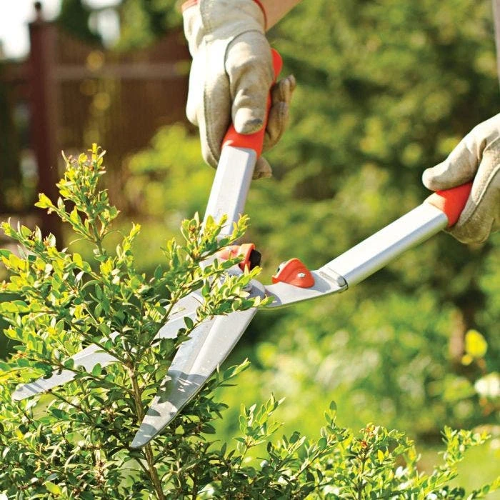 Leonard Hedge Shear 9in Straight Blades 23in Overall 7 Leonard Hedge Shear 9in Straight Blades 23in Overall - Image 5