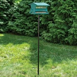 Absolute II Squirrel Resistant Double Sided Feeder 11 Absolute II Squirrel Resistant Double Sided Feeder -Gardening Supplies a7536 2