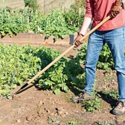 Leonard Cape Cod Weeder With 60 Wood Handle -Gardening Supplies acw60 2